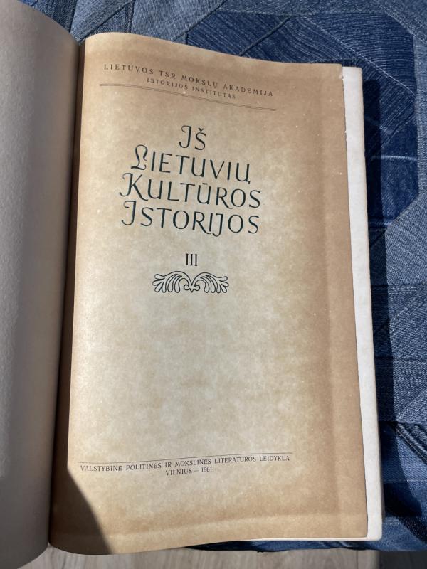 Iš lietuvių kultūros istorijos (3 tomas) - Autorių Kolektyvas, knyga 3