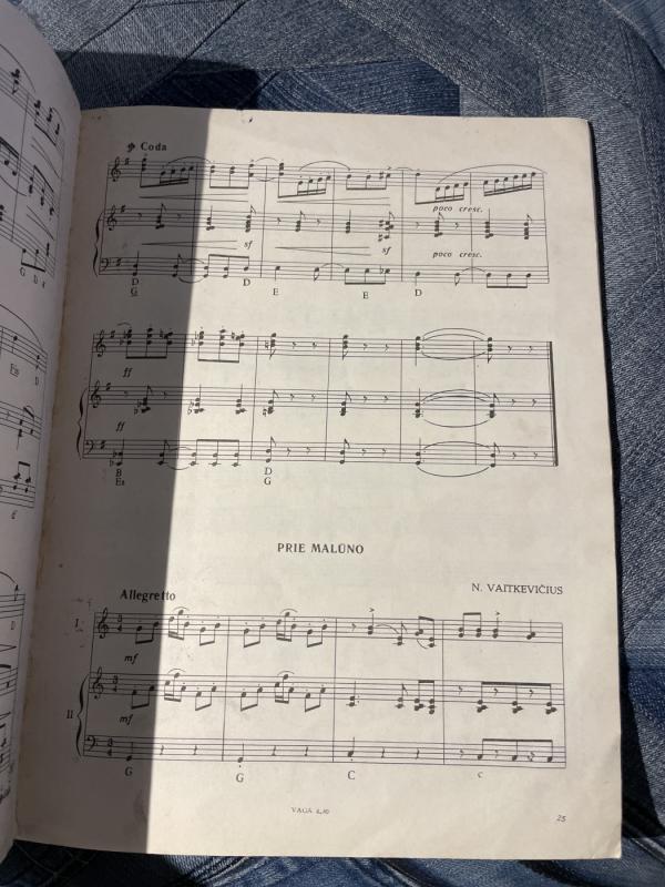 Rugučiai.Akordeonas.2 - A. Barniškis, knyga 4