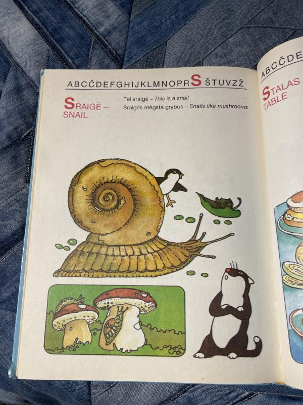 Lietuvių-anglų kalbų žodynas vaikams - Valdas Petrauskas, knyga 5