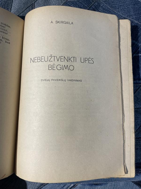 Saviveiklos teatras - Autorių Kolektyvas, knyga 6