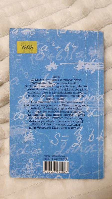 Matematika plius meilės kančios - Irene Zimmermann, knyga 4