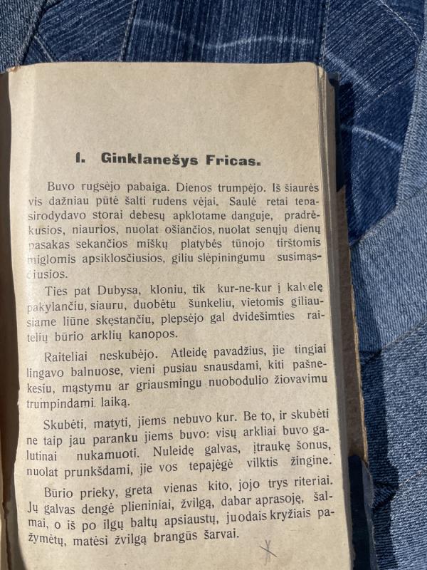 Audra Žemaičiuose - Vladas Andriukaitis, knyga 4