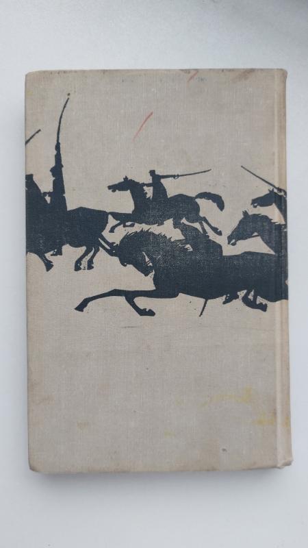 Čiapajevas - Dmitrijus Furmanovas, knyga 3