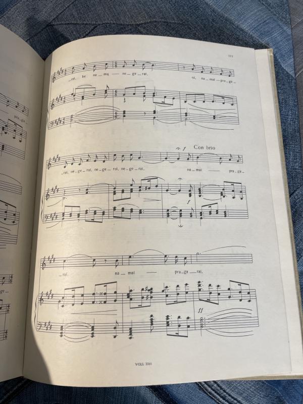 Plaukia sau laivelis (Solo ir duetai) - Stasys Šimkus, knyga 4