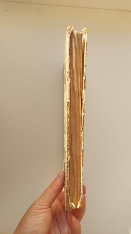 Namų sergėtojai - Autorių Kolektyvas, knyga 3