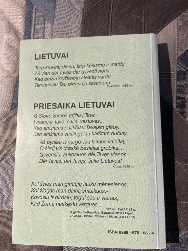 Blogio triumfas mes ir ateities vizija - Algirdas Statkevičius, knyga 6