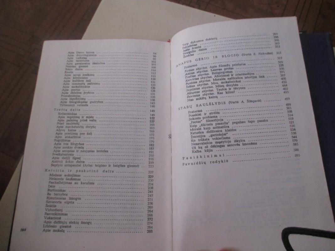 Frydrichas Nyčė. Rinktiniai raštai - Frydrichas Nyčė, knyga 6