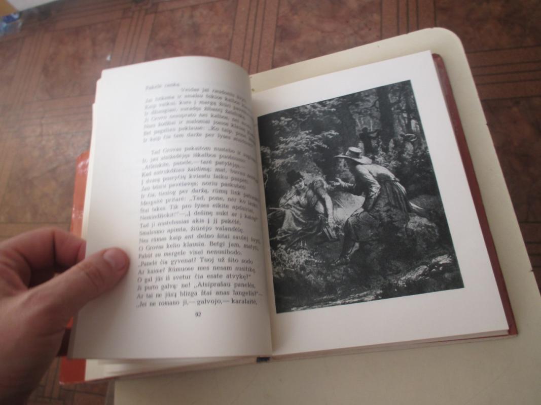 Ponas Tadas - Adomas Mickevičius, knyga 6