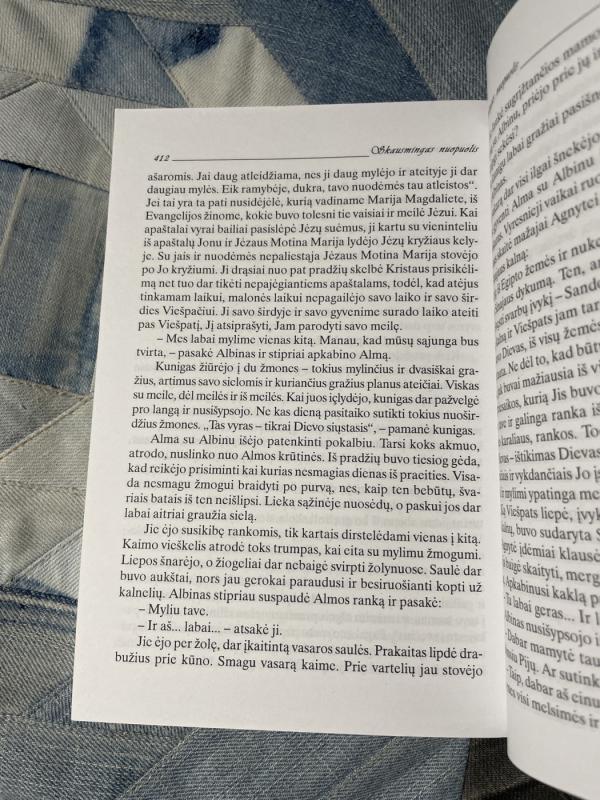 Skausmingas nuopuolis - Vitas Kaknevičius, knyga 5