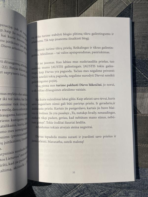 Apanglijusi Madona - Bakužė Samanota, knyga 4