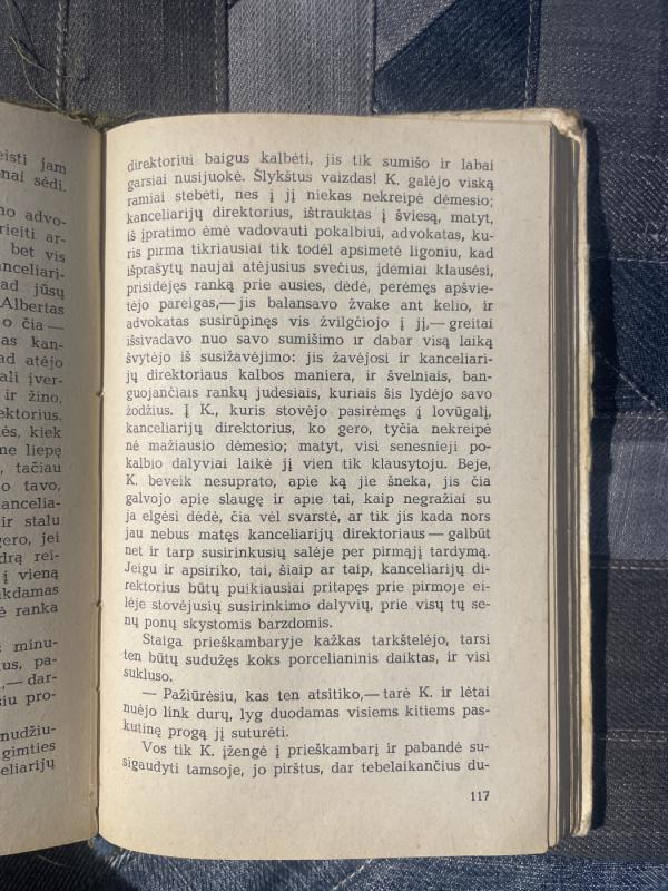 Procesas - Francas Kafka, knyga 4