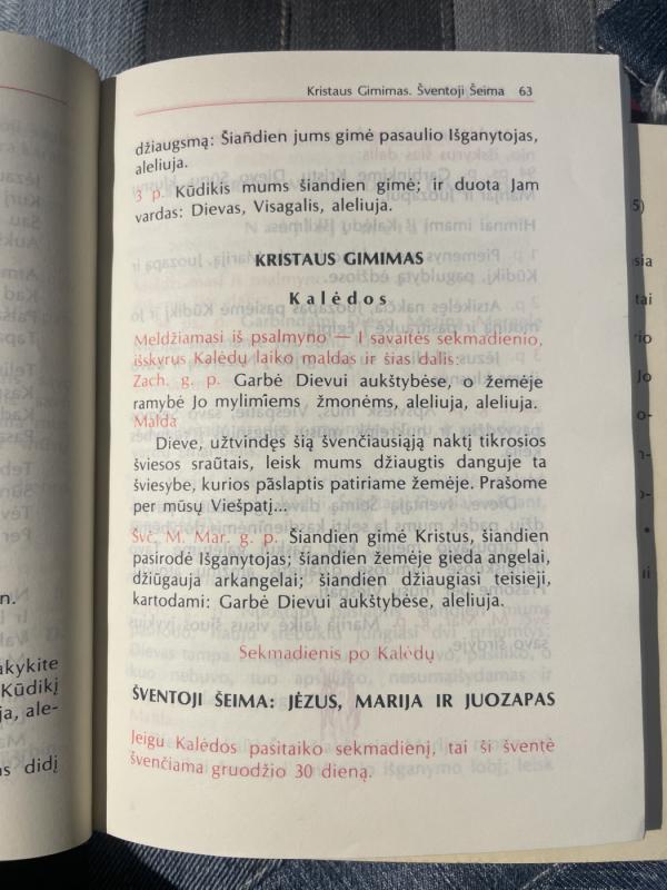 DIEVO TAUTOS LITURGINĖS VALANDOS - Autorių Kolektyvas, knyga 5