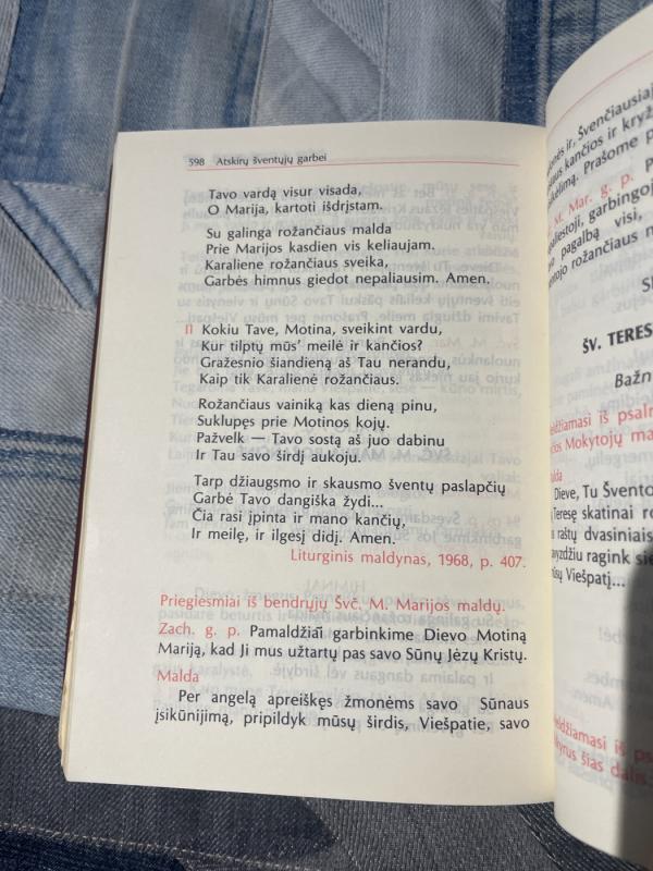 DIEVO TAUTOS LITURGINĖS VALANDOS - Autorių Kolektyvas, knyga 6