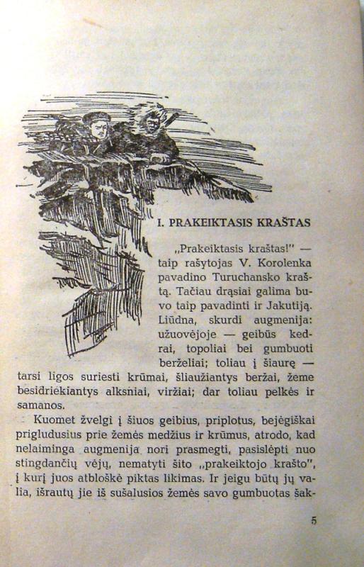 Oro pardavėjas - Aleksandras Beliajevas, knyga 6