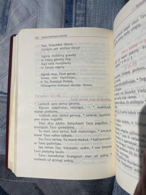 DIEVO TAUTOS LITURGINĖS VALANDOS - Autorių Kolektyvas, knyga 6