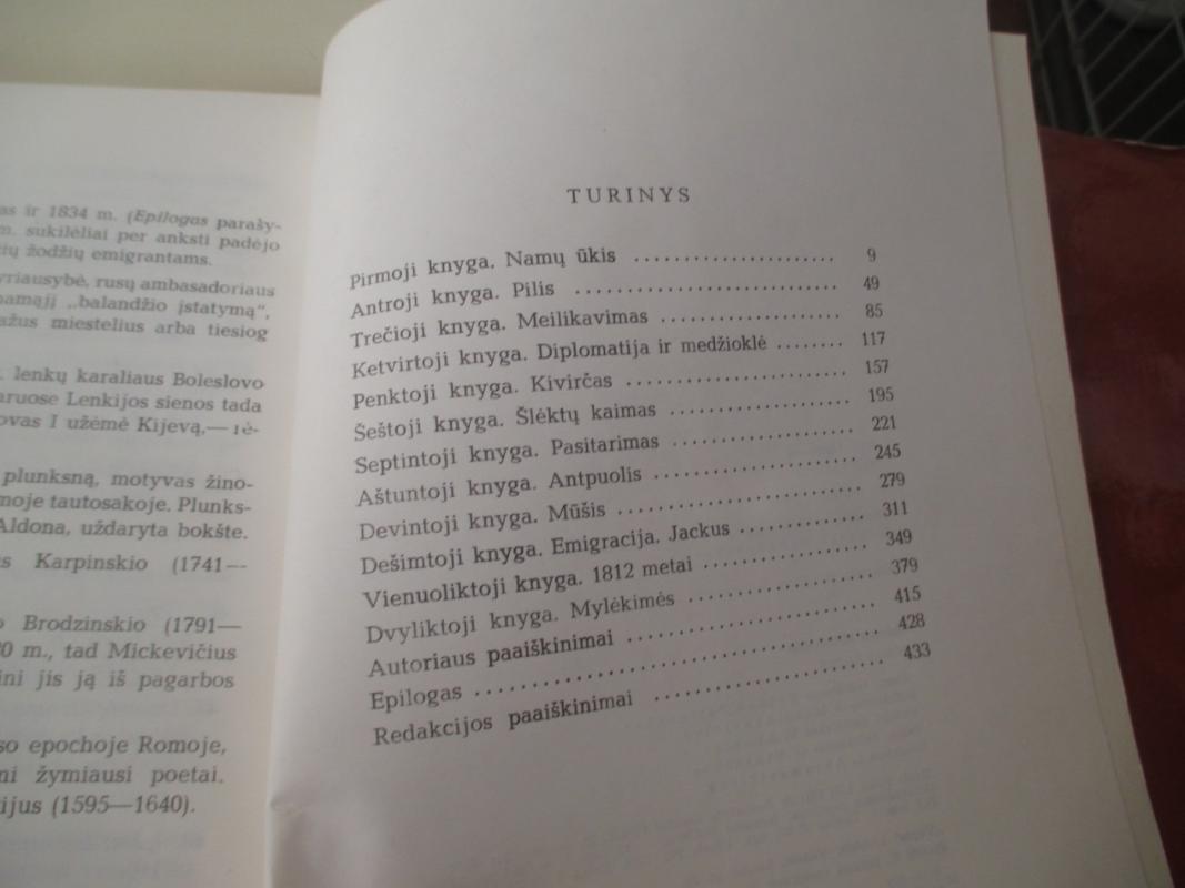 Ponas Tadas - Adomas Mickevičius, knyga 3