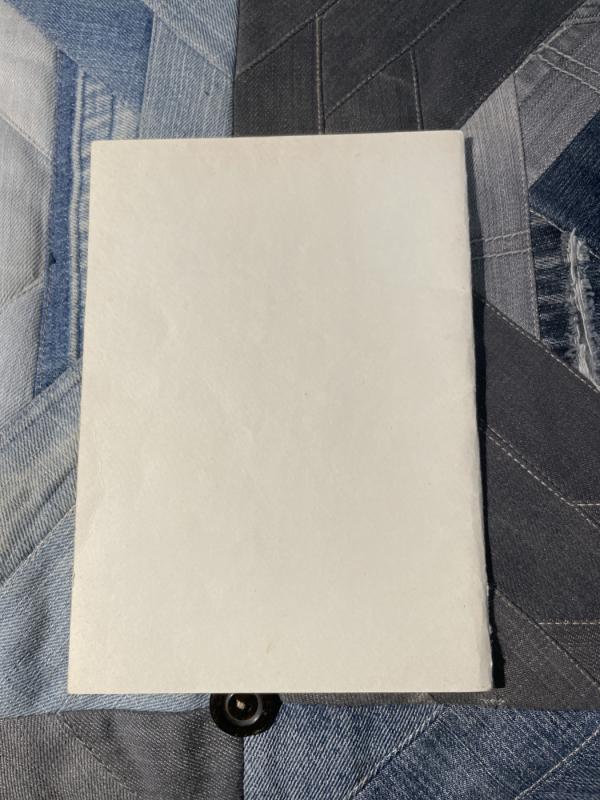 Laisvai Lietuvai - Rudolfas Minajevas, knyga 6