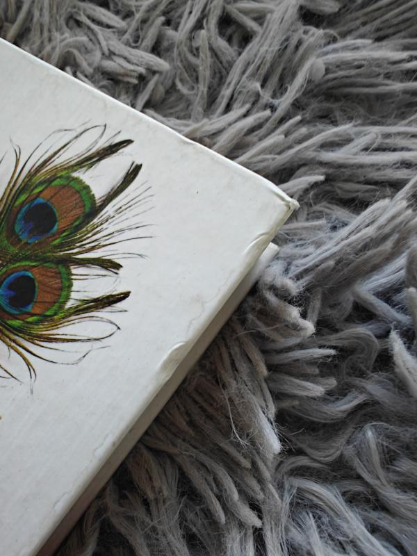 Moters išmintis - Vytautas Lapukauskas, knyga 3