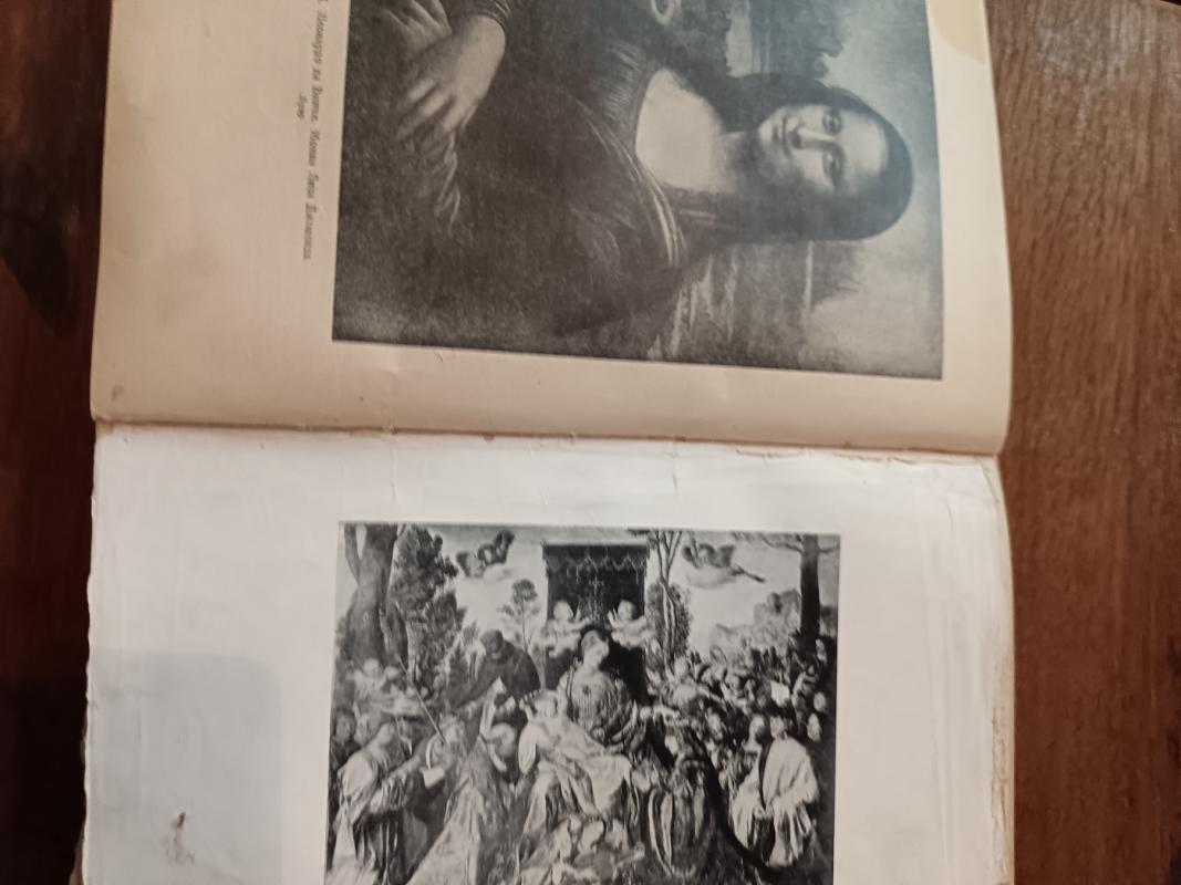 Vakarų Europos meno istorija - PROF. PUNINA, knyga 2