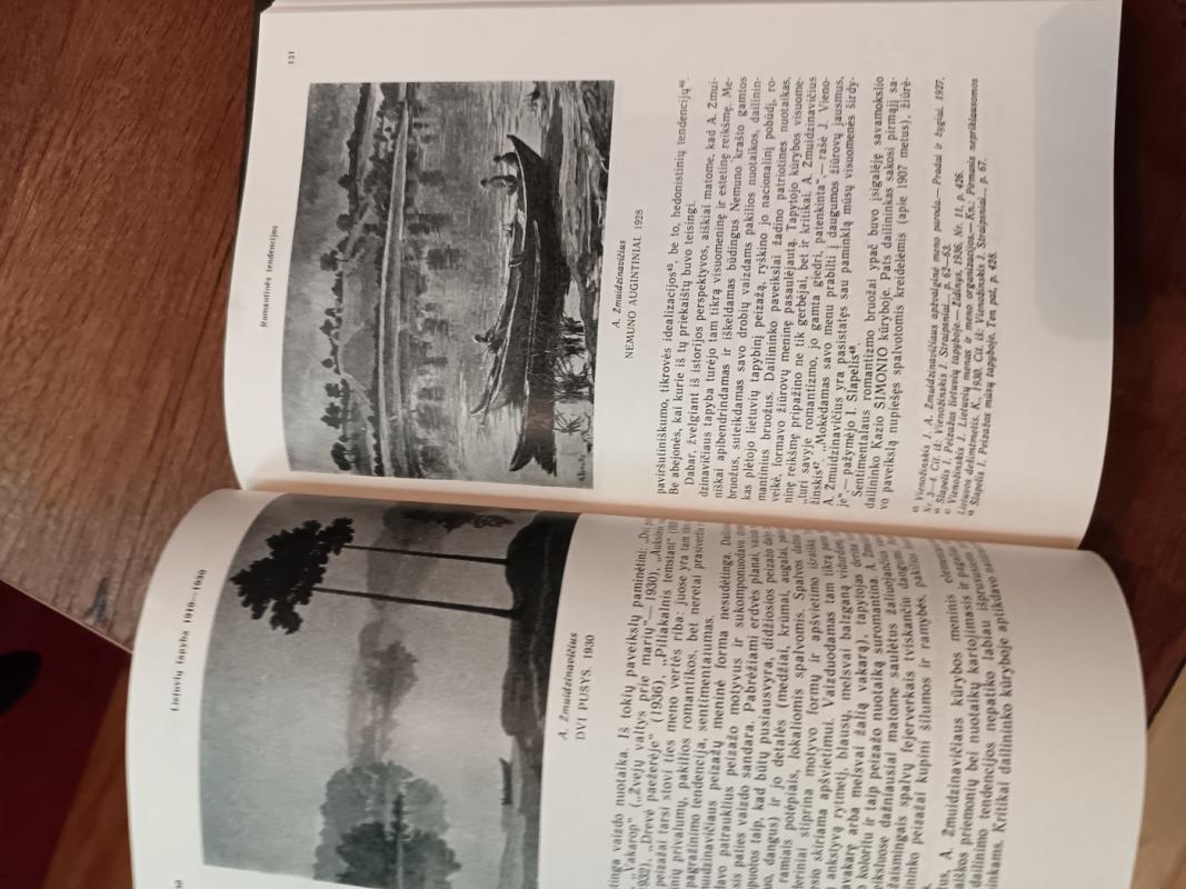 Lietuvos tapybos raida - Jonas Umbrasas, knyga 2