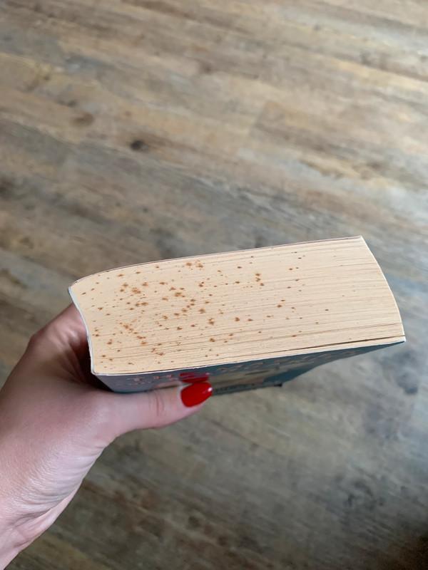 The Master and Margarita - Mikhail Bulgakov, knyga 4