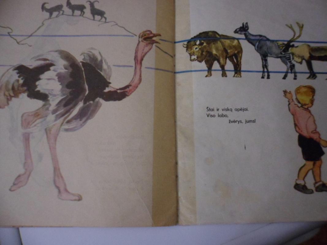 Šioje knygutėje - ir drambliai, ir liūtai - Vladimiras Majakovskis, knyga 6