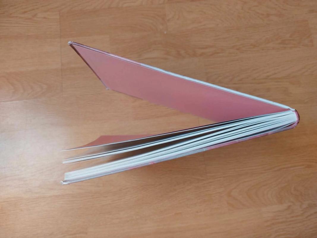 Dekoratyviniai krašteliai - Nicky Epstein, knyga 6