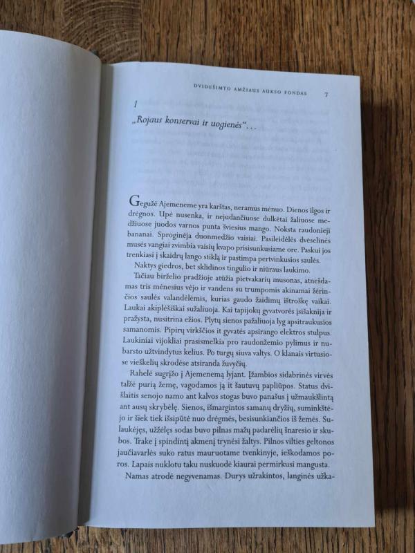 Mažmožių Dievas - Roy Arundhati, knyga 4