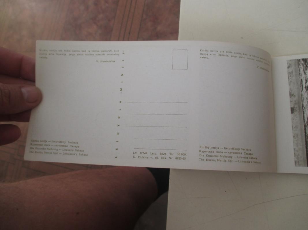 Kuršių nerija - Autorių Kolektyvas, knyga 6