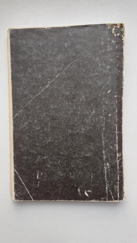 Žmogžudystė kalnuose - Raimondas Čandleris, knyga 3