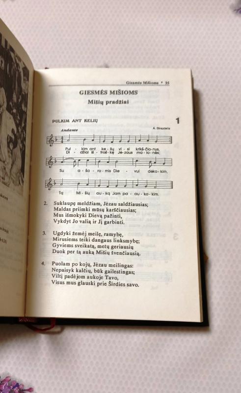 Liturginis giesmynas - K. Senkus, knyga 3