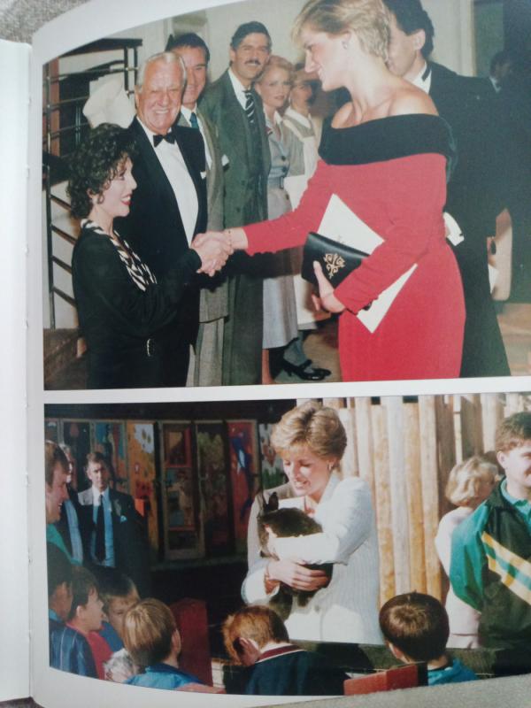 Diana - Alison Gauntlett , knyga 4