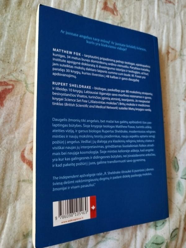 Apie angelų prigimtį. Ten, kur susitinka mokslo ir dvasios tyrinėjimo laukai - Matthew Fox, Rupert Sheldrake, knyga 5