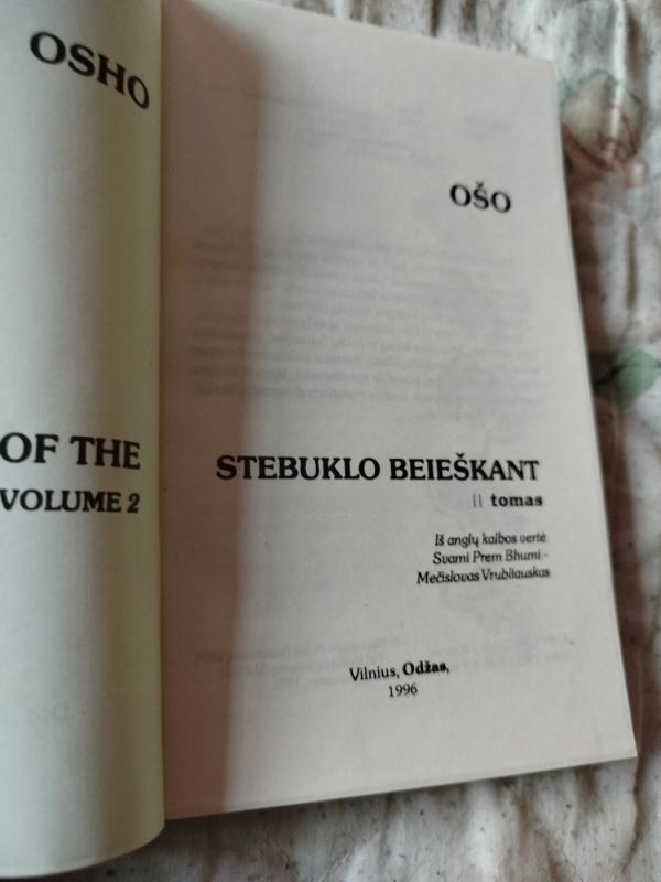 Stebuklo beieškant (2 tomas) - Autorių Kolektyvas, knyga 3