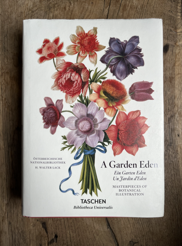 A Garden Eden. Masterpieces of Botanical Illustration. -  Dr H. Walter Lack, Johanna Rachinger, Hans W. Lack , knyga 2