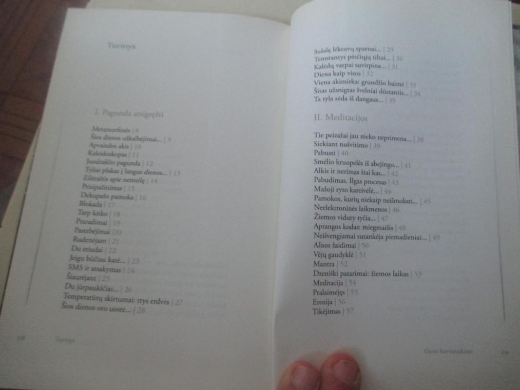 Užpustomi - Elena Karnauskaitė, knyga 4