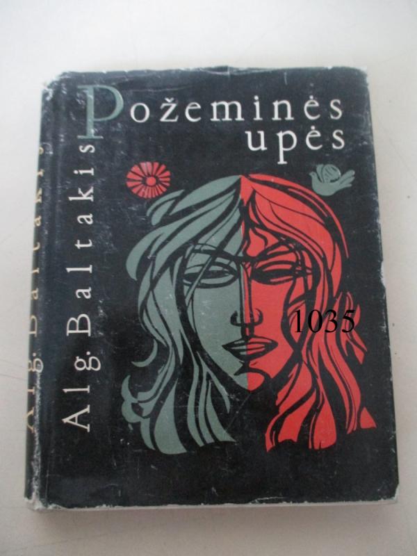 Požeminės upės - Algimantas Baltakis, knyga 2