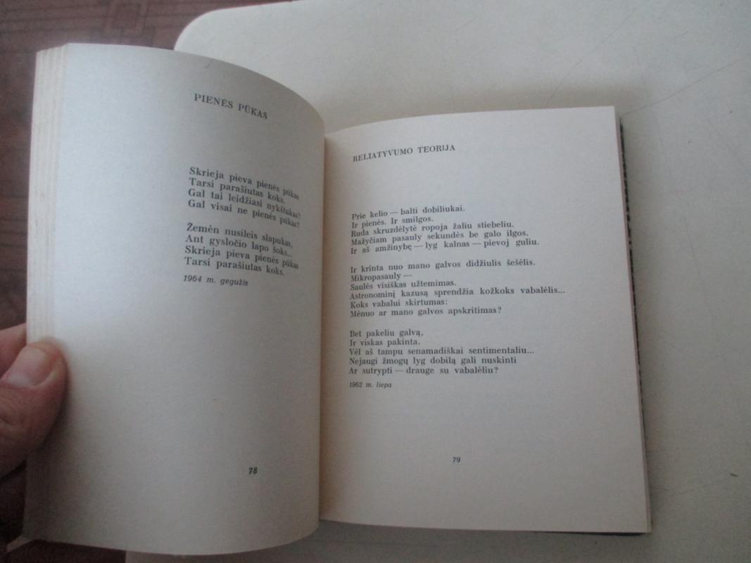 Požeminės upės - Algimantas Baltakis, knyga 6