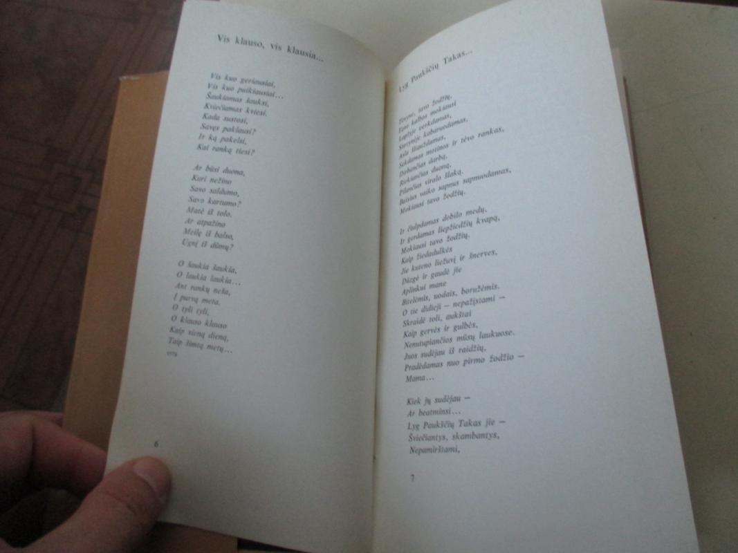 Rugiaveidė - Alfonsas Maldonis, knyga 6