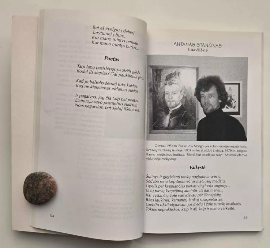 Jungtys: Šiaurės Lietuvos literatų almanachas - Autorių Kolektyvas, knyga 3