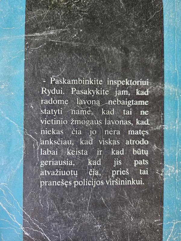 Žudiko prieglobstis - J. Turner, knyga 3