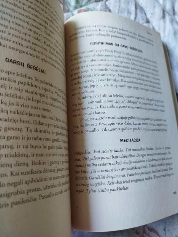 Šventosios savasties suradimas - Susan Gregg, knyga 4