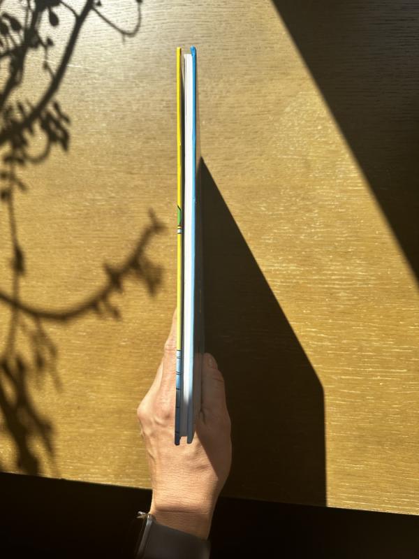 Donaldas ir kiti. Tinginių planeta, mulkiai sutemose ir kai kelią perbėga ragana - Walt Disney, knyga 3