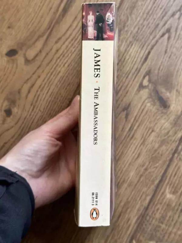 The Ambassadors - Henry James, knyga 4