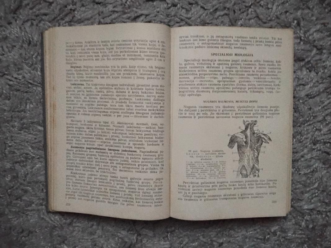 Žmogaus anatomija - S. Pavilonis, knyga 5