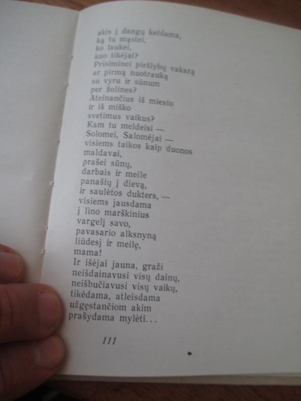 Dienos-elegijos - Mykolas Karčiauskas, knyga 4