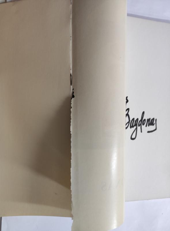 Juozas Bagdonas - Paulius Jurkus, knyga 4