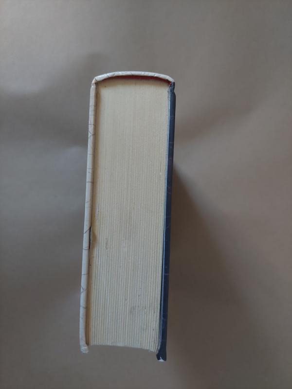 Nekaltoji išdavikė - Alison Weir, knyga 4