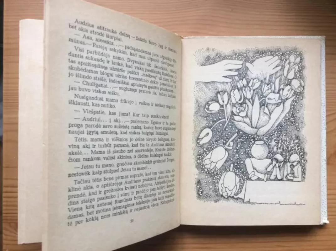 Būrimas obuolio sėklom - Kazys Saja, knyga 5