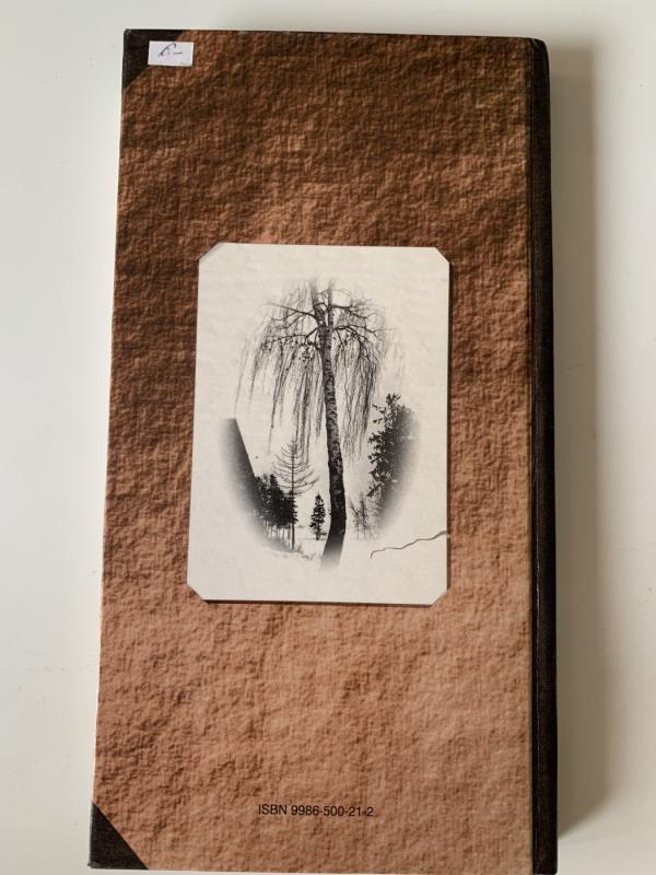 Tiesiu toliams rankas - Paulius Širvys, knyga 3